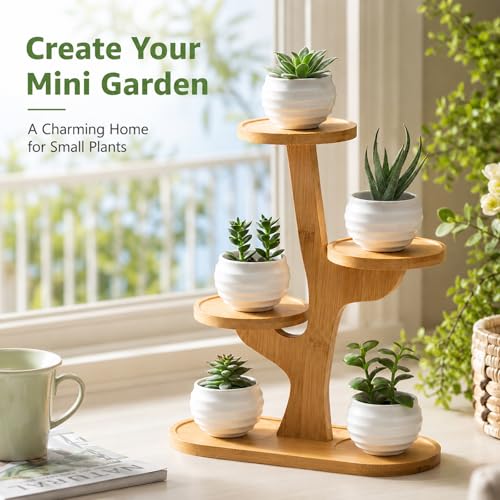 5 Tiered Desk Plant Stand Bamboo Tree Plant Shelf Tabletop Succulent Herb Stand Desktop Plant Stand Indoor Plant Rack for in Living Room Office Decoration (5 Tiered) - size: 5 Tiered