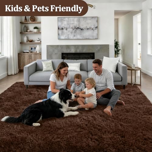Fluffy 4x6 Area Rugs for Living Room Bedroom: Ultra Soft Shag Rug Non-Slip Non-Shedding Small Plush Bedside Rug Indoor Floor Carpets for Kids Room Playroom Entryway Nursery Dorms Home Decor Brown - color: Brown, size: 4' x 6' (Rectangular)