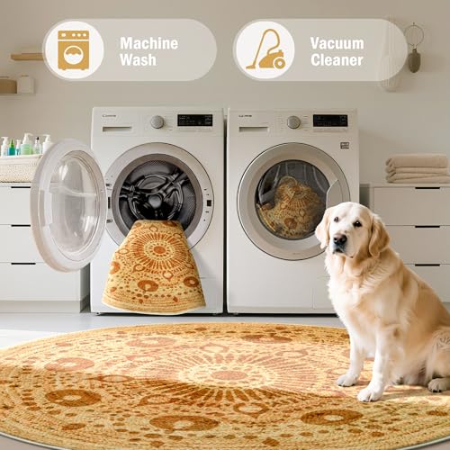 Carvapet 5ft Round Rug - Soft Low Pile 60 inch/152 cm Sunshine Print Washable Circle Carpet with Non Slip Rubber Backing, Foldable Area Rug for Living Room Bedroom Nursery Office Dining Room - color: S-brown, size: 5' (Round)