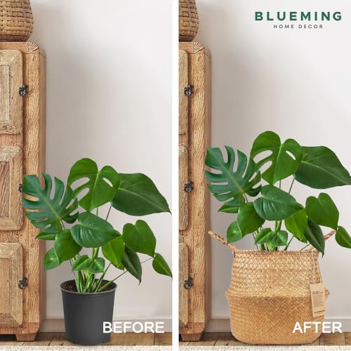 Plant Basket – Olive Tree Pot for Indoor Fake Trees, 9-10 Inch Woven Wicker Planter Baskets for Faux Artificial House Plants (Original, Large) - color: Original, size: Large