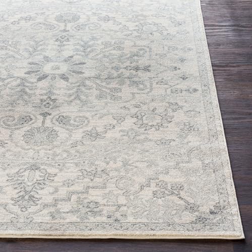 Livabliss Area Rugs - 4x6 Odelia Vintage Boho Gray Charcoal Area Rug for Living Room Bedroom - Floral Medallion Stain Resistant Carpet for Kitchen, Nursery, Office (3'11" x 5'7") - color: Beige, size: 3'11" x 5'7" (Rectangular)