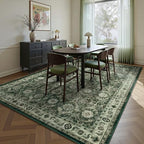 5x7 Area Rugs, Soft Non Slip Low Pile Washable Rug, Boho Modern Rug for Living Room, Bedroom, Dining Room, Sage Green - color: A-sage Green, size: 5' x 7' (Rectangular)
