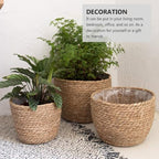 Woven Flowerpot Basket for Indoor Plants, Rattan Straw Plant Container with Natural Braided Design, Boho Style Planter for Succulents and Small Flower Pots