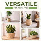 Seagrass Plant Basket Set of 3 with Handles – Handwoven Woven Basket Planter, Indoor Plant Basket & Plant Holder Basket, Natural Fiber Wicker Plant Pot Basket for Boho Farmhouse Home Decor - size: Set of 3 (with handles), style: With handles