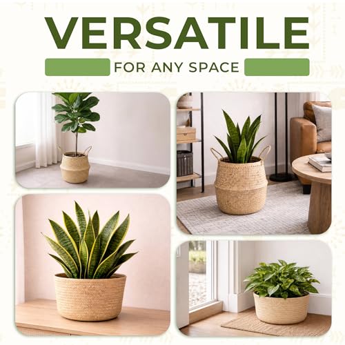 Seagrass Plant Basket Set of 3 with Handles – Handwoven Woven Basket Planter, Indoor Plant Basket & Plant Holder Basket, Natural Fiber Wicker Plant Pot Basket for Boho Farmhouse Home Decor - size: Set of 3 (with handles), style: With handles
