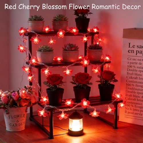 100 LED Red Cherry Blossom Flowrer String Lights, 33 FT Plug in Fairy Floral Lamp with 8 Modes, Flexible Clear Wire for Bedroom Balcony Patio, Valentine's Day Christmas Indoor Outdoor Decorations - color: Red