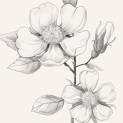 Framed Black and White Floral Wall Art, 4 Piece Vintage Gray Botanical Canvas Prints Painting Artwork, Minimalist Neutral Flower Pictures for Farmhouse Bedroom Living Room Bathroom Home Decor, 11x14 - color: Drawing - Black Framed, size: 11" W x 14" H x 4
