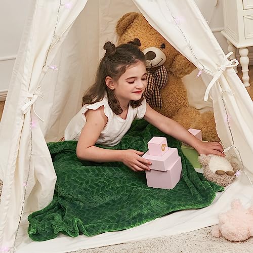 InHand Fleece Baby Blanket, Super Soft Swaddle Blanket, Plush Fuzzy Warm Green Throw Blanket, Newborn Receiving Blanket for Crib, 30x40 inches - color: A-green, size: Baby-30x40 IN