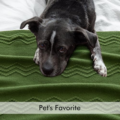 MIULEE Olive Green Knitted Throw Blanket for Couch Boho Textured Cozy Woven Blanket with Tassels for Sofa Chair Bed Living Room Spring Acrylic Wave Pattern 50"x60" - color: Olive Green, size: 50" x 60"
