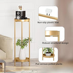 Metal Gold Tall Plant Stand Indoor or Outdoor - 30 inch 2 Tier Modern Corner Planter Shelf Rack with 2 Removable Display Shelves(10 inch) for Bedroom Living Room Balcony
