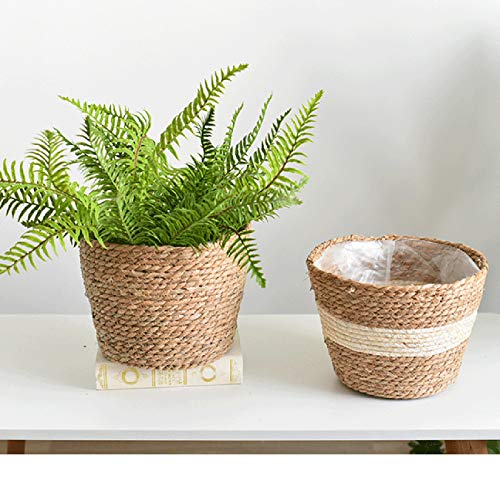 Seagrass Basket Planter, Flower Pot Cover, Storage Basket, Plant Container, Hand Woven, Plastic Liner, Beige, 7 Inch, Indoor/Outdoor