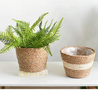 Seagrass Basket Planter, Flower Pot Cover, Storage Basket, Plant Container, Hand Woven, Plastic Liner, Beige, 7 Inch, Indoor/Outdoor