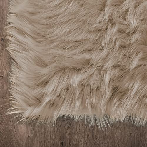 Latepis 2x3 Brown Beige Small Faux Fur Rug Fluffy Furry Rugs Throw Rug Washable Shag Plush Soft Rugs for Living Room Bedroom and Dorm - color: Beige, size: 2' x 3' (Rectangular)