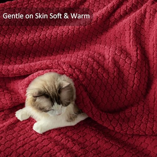 Exclusivo Mezcla Twin Size Fleece Blanket for Bed, Extra Soft Warm Decorative Fuzzy Blanket for Women, Lightweight Cozy Bedding Blankets, 60x80 Inches, Deep Red - color: Deep Red, size: Twin ( 60x80 IN )