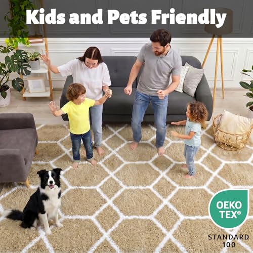 ONASAR Area Rugs for Bedroom Living Room, 4x6 Fluffy Beige and White Throw Rug, Geometric Soft Shaggy Fuzzy Plush Indoor Floor Carpet for Kids Teen Nursery Dorm Office Home Decor Aesthetic - color: 6- Beige / White, size: 4' x 6' (Rectangular)