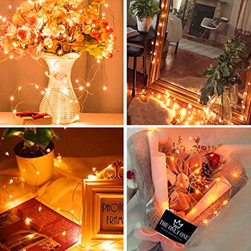 Ineximun 24 Pack LED Fairy Lights Battery Operated 7Ft 20Led Warm White Mini String Lights Waterproof Christmas Lights for Mason Jars Bedroom DIY Party Wedding Christmas Decor - color: Warm White