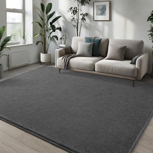 Pettop 4x6 ft Dark Grey Area Rugs for Bedroom Living Room, Washable Memory Foam Indoor Carpet, Modern Aesthetic Minimalist Non Slip Soft Comfy Carpet for Boys Girls Dorm Home Decor - color: Dark Grey, size: 4' X 6' (Rectangular)