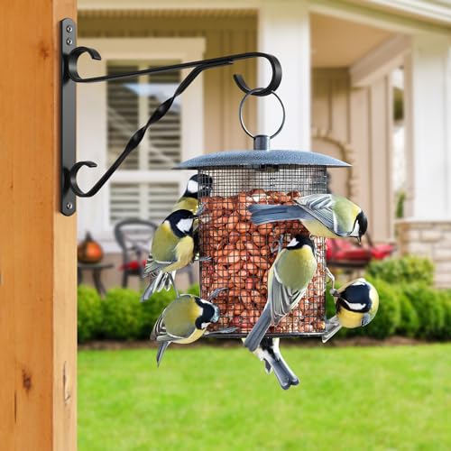 AMAGABELI GARDEN & HOME 2 Pack 10 inch Hanging Bracket Plant Bracket Plant Hanger Outdoor Hangers Flower Bird Feeder Plant Hooks Hangers Lanterns Garden for Indoor Wall Screw Mount Black BG1571 - size: 10 Inch, style: 2-Pack Twist Hook 2