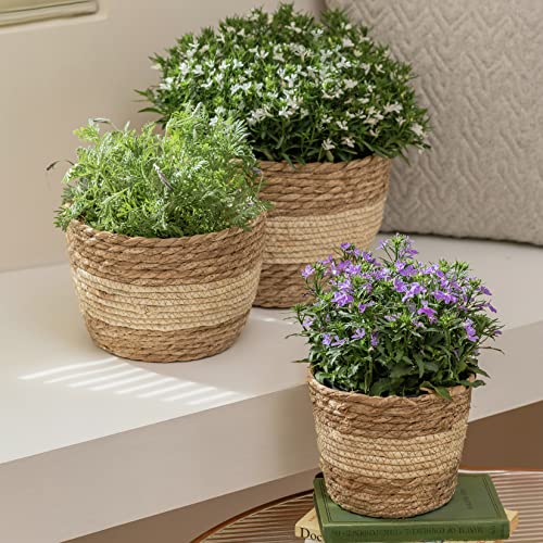 LA JOLIE MUSE Seagrass Planter Basket Indoor Outdoor, Flower Pots Cover, Plant Containers, Beige, 10 inch - color: Beige