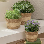 LA JOLIE MUSE Seagrass Planter Basket Indoor Outdoor, Flower Pots Cover, Plant Containers, Beige, 10 inch - color: Beige