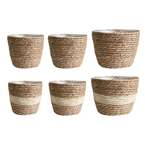 Seagrass Basket Planter, Flower Pot Cover, Storage Basket, Plant Container, Hand Woven, Plastic Liner, Beige, 7 Inch, Indoor/Outdoor