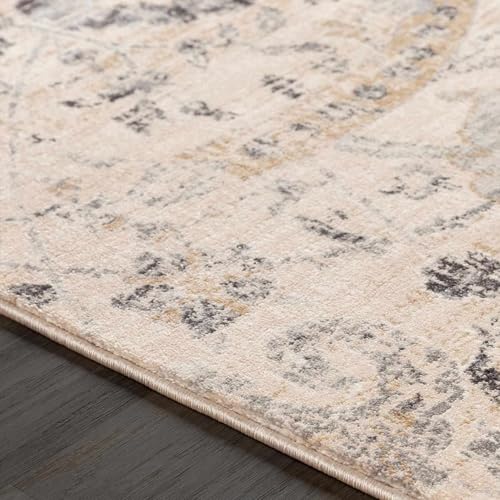 Hauteloom Obsidian Rustic Farmhouse Traditional Floral Medallion Carpet for Living Room - Boho Vintage Oriental Damask Area Rug - Blue Gray, Terracotta, Beige, Cream, Black - 5'3" x 7'3" (5x7) - color: Beige, Black, Charcoal / Sunnyside, size: 5'1" x 7'3"