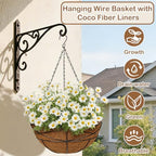 2 Pack 14 inch Metal Hanging Baskets for Plants Outdoor Metal Wire Hanging Basket Planter with Coco Fiber Liners Flower Pots for Home Porch Garden Patio, Diamond-Shaped - size: 14" x 2 Pack, style: Diamond