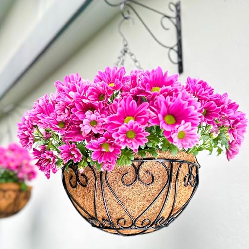 LaLaGreen Hanging Baskets for Plants (12 Inch, 2 Pack) Hanging Flower Pots with Coco Liner, Black Metal Wire Round Basket Plant Holder with Hanger Hook Chain, Outdoor Patio Deck Balcony Garden Decor - size: 12" x 2 Pack