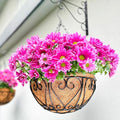 LaLaGreen Hanging Baskets for Plants (12 Inch, 2 Pack) Hanging Flower Pots with Coco Liner, Black Metal Wire Round Basket Plant Holder with Hanger Hook Chain, Outdoor Patio Deck Balcony Garden Decor - size: 12" x 2 Pack