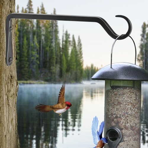 10 inch Plant Hanger, Sturdy Hanging Plant Bracket Outdoor, Hanging Plant Wall Hook Heavy Duty, for Hanging Bird Feeders, Planters, Lanterns, Wind Chimes, Indoor/Outdoor Use, Black, Set of 2 - color: Black, size: 10in-2-Black