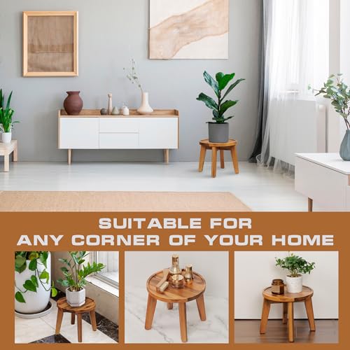 Demigo Indoor Plant Stand, Acacia Wooden Decorative Plant Shelf with Spill-Proof Tray, Stable 8” Tall Flower Holder for Heavy Pots, Gardening Display for Decor Living Room Patio - Natural Brown - color: Natural Acacia, size: Medium