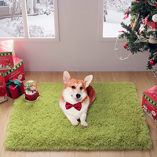 Merelax Modern Soft Fluffy Shaggy Rug for Bedroom Livingroom Small Chair Decor Rugs Feet Floor mats , Non-Slip Plush Furry Fur Area Rugs Comfy Nursery Accent Floor Carpet 2 X 3 Feet, Green - color: Green, size: 2' x 3' (Rectangular)