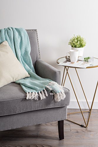 DII Woven Throw Collection 100% Cotton, Basketweave, 50x60, Aqua - color: Aqua, size: 50x60"