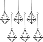 Air Plants Hanging Holders Indoor Small Metal Airplants Rack Hanger Himmeli Geometric Planter Tillandsia Air Ferns Display with Chains 6 Pcs Black Diamond Shape …