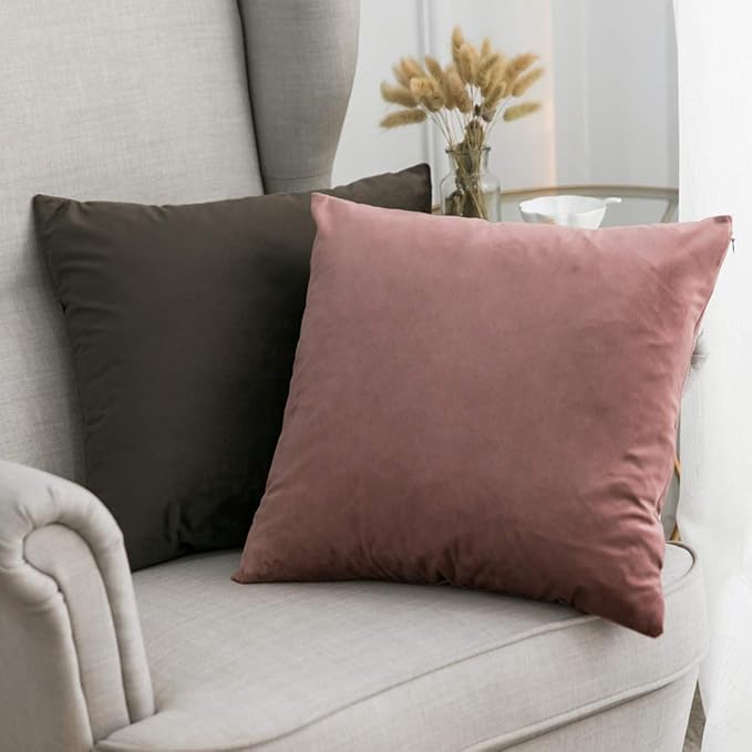 MIULEE Velvet Throw Pillow Covers 16x16 Inch, Pack of 2 - Jam, Soft Solid Decorative Pillow Covers Cushion Cases Modern Luxury Home Decor for Spring Couch Sofa Bedroom Livingroom