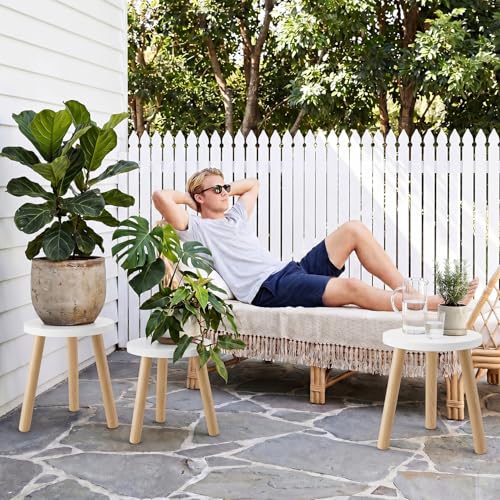 Wood Plant Stands Indoor, White Plant Stand Modern Plant Table for Large Plants, Wooden Plant Stool, Tall Plant Holder Small Round Side for Living Room, Balcony, Office (1 Pack) - color: White