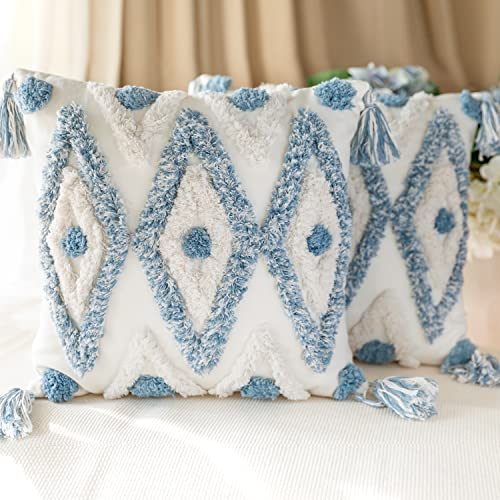 Set of 2 Cotton Woven Boho Throw Pillow Covers, Tufted Decorative Square Pillowcases Covers with Tassels for Couch Sofa Bed, Living Room Sofa, Farmhouse, 20x20 Inch Blue(2 pcs) - size: 20" x 20" (Pack of 2)