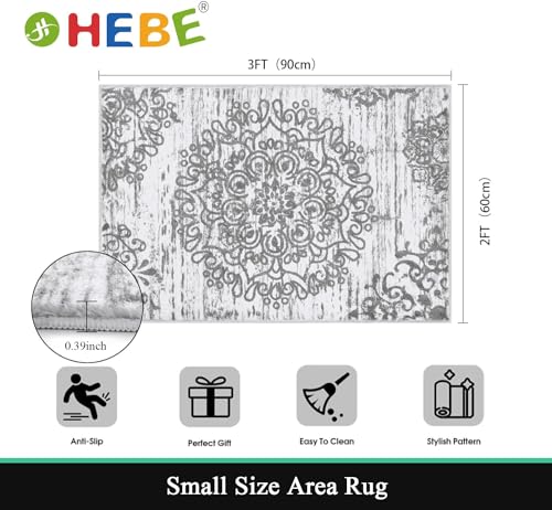 HEBE Indoor Door Mat 2'x3', Washable Distressed Boho Small Area Rug, Non Slip Vintage Accent Throw Rug Floor Carpet for Door Entrance, Entryway, Kitchen, Bathroom - color: Grey, size: 2' x 3' (Rectangular)