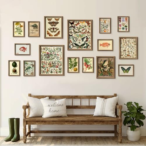 ANERZA 16 PCS Vintage Wall Art Decor, Botanical Cottagecore Wall Collage Kit for Bedroom, Farmhouse Posters for Room Aesthetic, Wall Prints Pictures for Living Room, Rustic Dorm Gallery Home Decor - color: Drab, size: 11"x14" Unframed