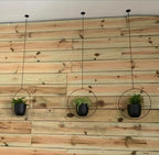 2 Pack Hanging Planters for Indoor Plants with 5.5" Pot + Ceiling Hook + Extender Chain | Hanging Plant Holder, Metal Minimalist Planter, NO Plant incld