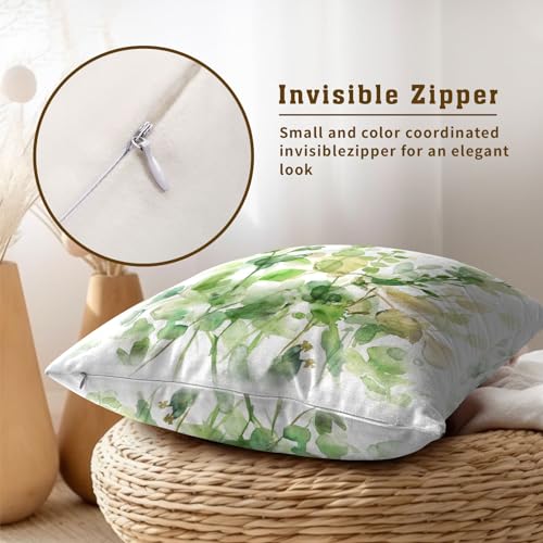 Spring Sage Green Pillow Covers 16x16 Inch Set of 2, Eucalyptus Leaf Watercolor Throw Pillow Covers Square Cotton Cushion Cover for Home Couch Sofa Patio Bedroom Livingroom - color: Eucalyptus Leaf231219, size: 16" x 16" (Pack of 2)