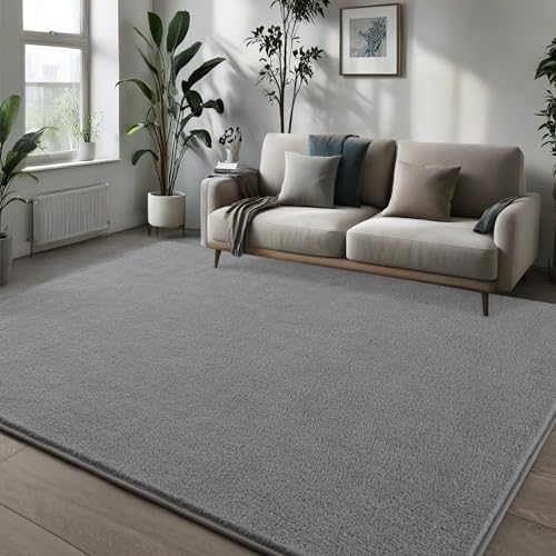 Pettop 4x6 ft Grey Area Rugs for Bedroom Living Room, Washable Memory Foam Indoor Carpet, Modern Aesthetic Minimalist Non Slip Soft Comfy Carpet for Boys Girls Dorm Home Decor - color: Grey, size: 4' X 6' (Rectangular)