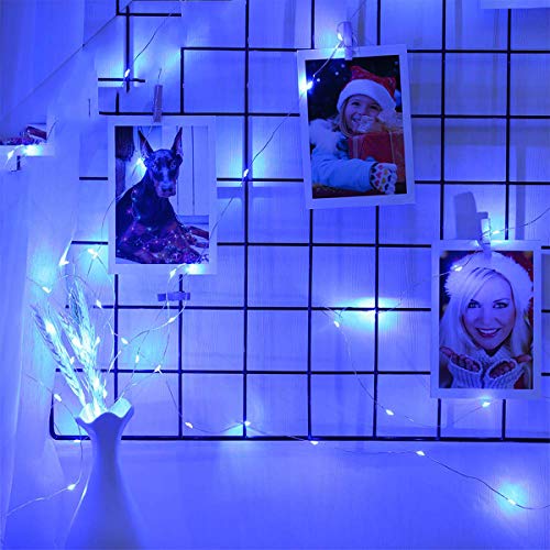 Ariceleo Led Fairy Lights Battery Operated, 2 Packs Mini Battery Powered Copper Wire Starry Fairy Lights for Bedroom, Christmas, Parties, Wedding, Centerpiece, Decoration (5m/16ft Blue) - color: Blue, size: 2 Pack