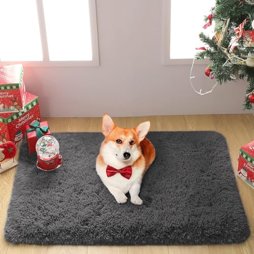 Merelax Fluffy Shaggy Small Area Rug, Dark Grey 2x3 Doormat Door Rugs for Bedside Christmas Decor, Mini Fuzzy Plush Throw Rug, Soft Non-Slip Entryway Shag Catpet for Livingroom Holiday Home Aesthetic - color: Dark Grey, size: 2' x 3' (Rectangular)
