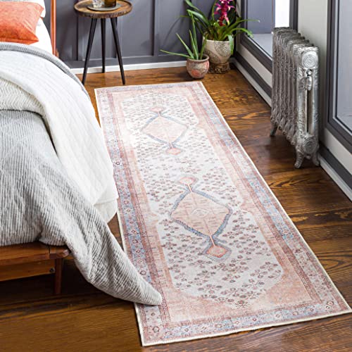 Hauteloom Stella Boho Vintage Area Rug - Farmhouse Traditional Medallion Carpet for Hallway, Kitchen - Machine Washable - Tan, Pink, Peach, Sage, Blue, Cream - 2'7" x 7'10" (2x8) - color: Aqua, Black, Blush / Moora, size: 2'7" x 7'10" (Runner)