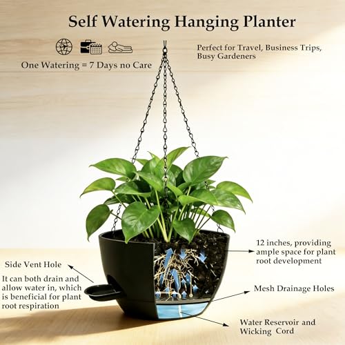 12 Inch Self Watering Hanging Planters 2 Pack, Indoor Outdoor Hanging Pots for Plants with Drainage Holes & Saucers, Black Plastic Hanging Baskets for Kitchen Balcony Garden - color: Black