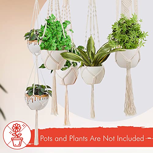 feedee Macrame Plant Hangers Indoor Macrame Hanging Planters for Indoor Plants, 6 Pack Hanging Plant Holders Indoor Hanging, Macromay Plant Hangers for Indoor Plant Hanger, Outdoor Flower Pots Holder - color: Ivory, size: Pack of 6