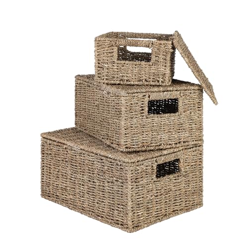 Wicker Storage Baskets with Lid, Hand-Woven Rectangular Wicker Basket with Lid for Bedroom & Living Room, Nesting Rattan Basket with Lid for Shelves (Seagrass, Set of 3）