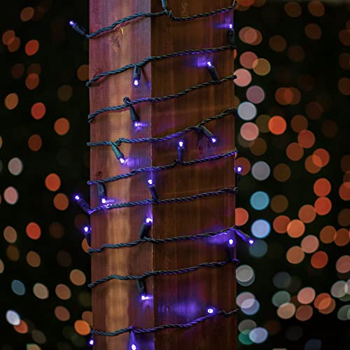 Novelty Lights 25ft 50 LED Purple Christmas Lights Outdoor/Indoor, 6" Spacing, Green Wire String Lights for Festive Xmas Lighting, IP55, UL Listed, Dimmable, Connectable - color: Purple
