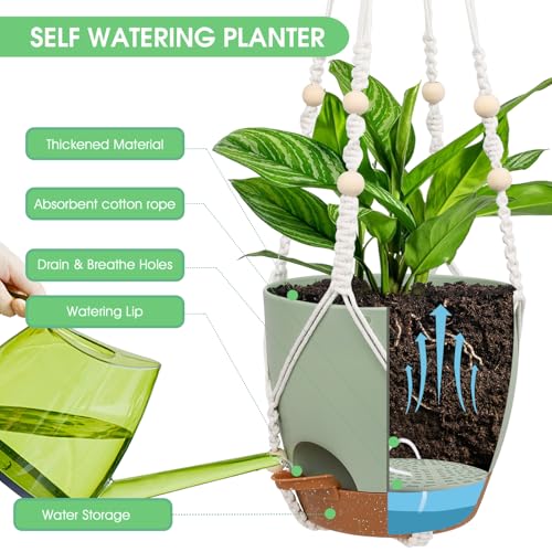 Hanging Planters for Indoor Outdoor Plants, 2 Pack Self Watering Hanging Pot with Drainage Holes, Removable Tray & 2 Kinds of Plant Hangers, 8'' Hanging Flower Pots for Home Garden Decor, Green - color: Ivory+black+green, size: 8''